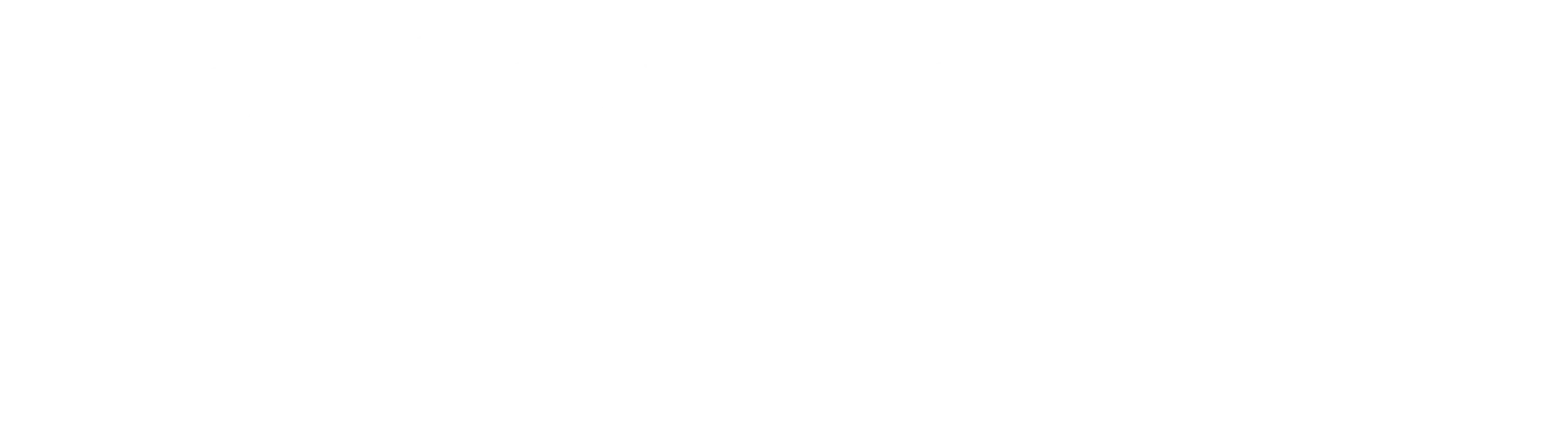 DCUORE-11-reduzido